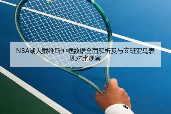 NBA湖人戴维斯护框数据全面解析及与文班亚马表现对比观察